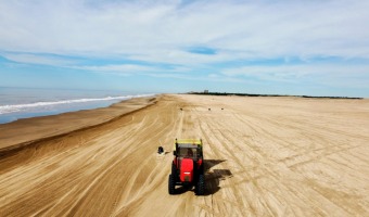 LIMPIEZA EN PLAYAS DEL NORTE